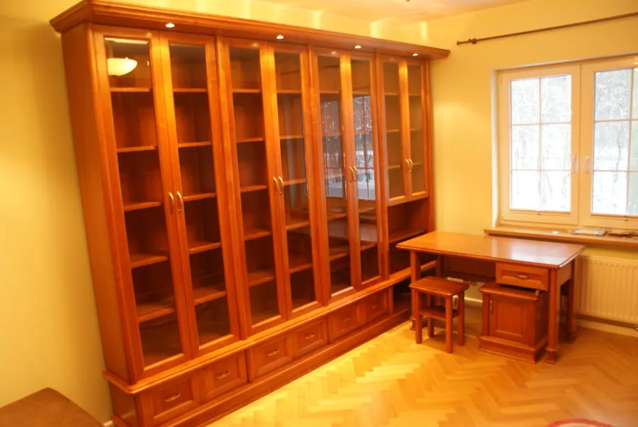 Biblioteka z przeszklonymi frontami